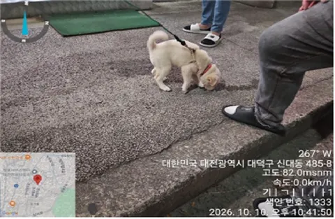 믹스견 · 00125, 가족을 기다리는 강아지